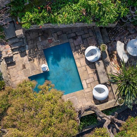 Phoenix Lodge And Waterside Accommodation Knysna Eksteriør bilde
